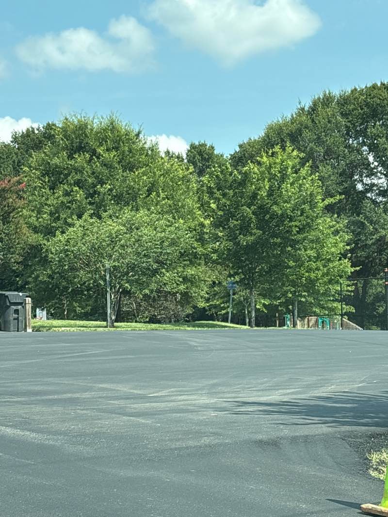 walking near me in Gingles Park in summer