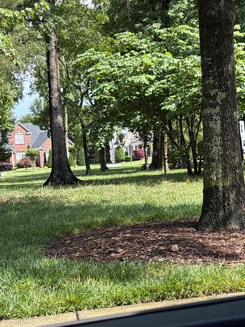 walking near me in The Park in summer