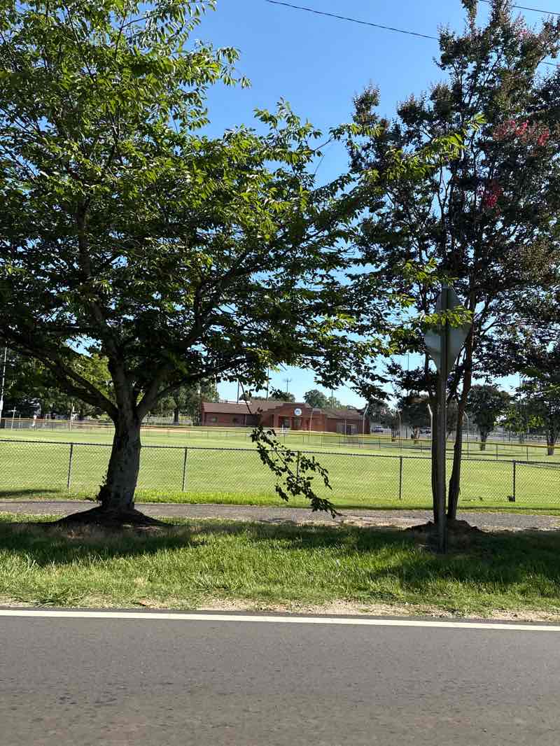 walking near me in Sunset Park in summer