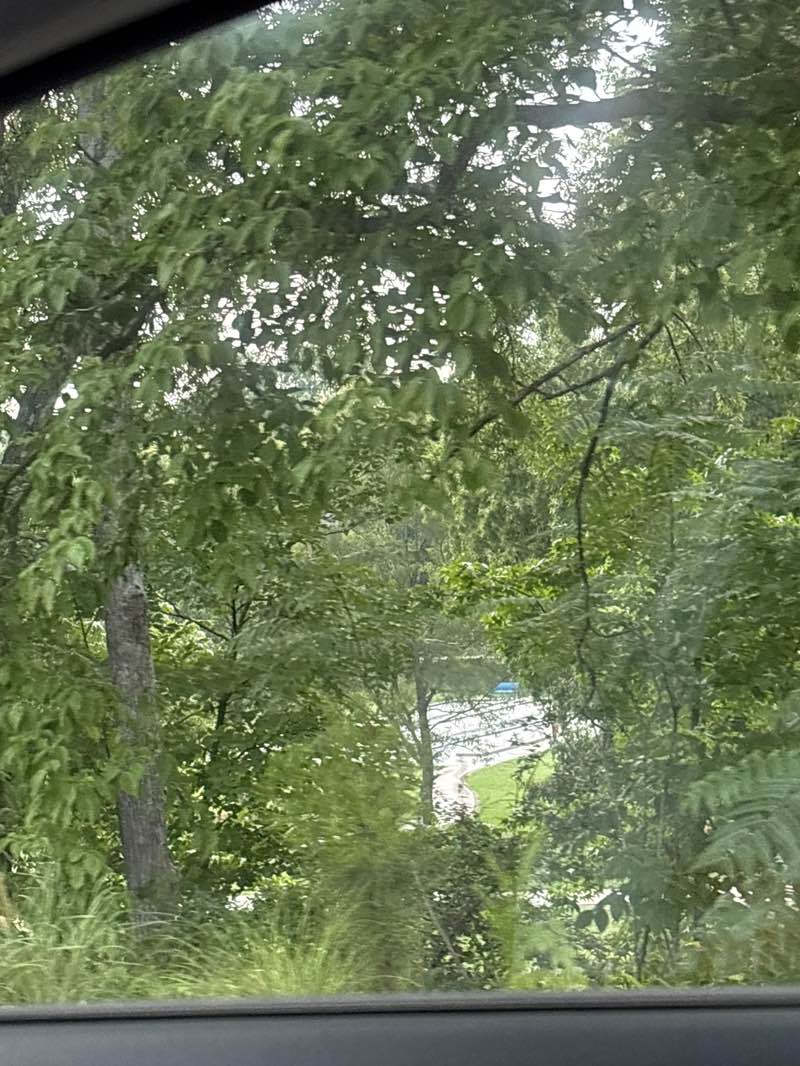 walking near me in Belk Tonowonda Park in summer