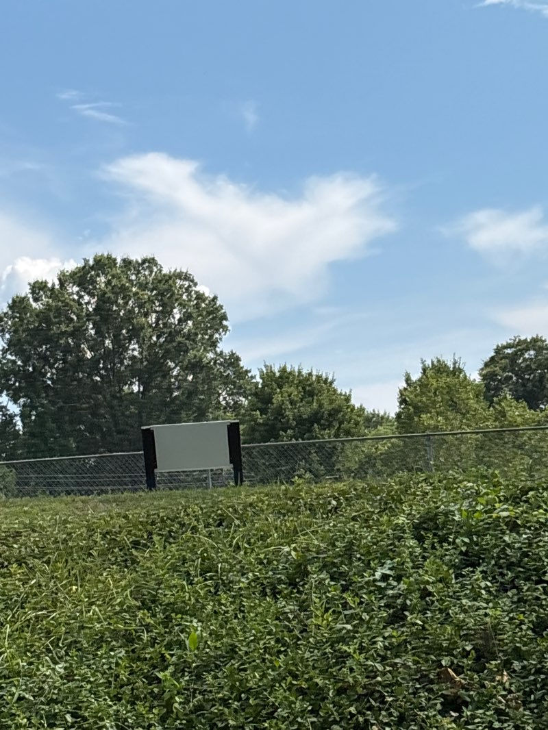 walking near me in Reid Park in summer
