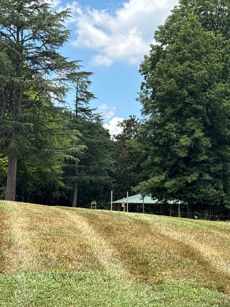 walking near me in Stowe Park in summer