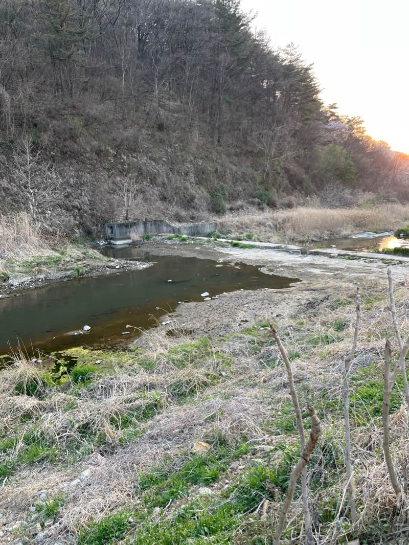 walking near me in 송림근린공원 in winter