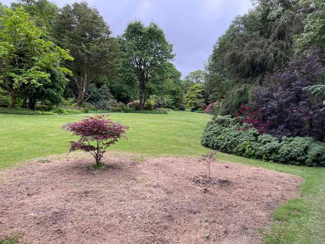 walking near me in Páirc Naisiúnta Ghleann Bheatha / Glenveagh National Park in winter