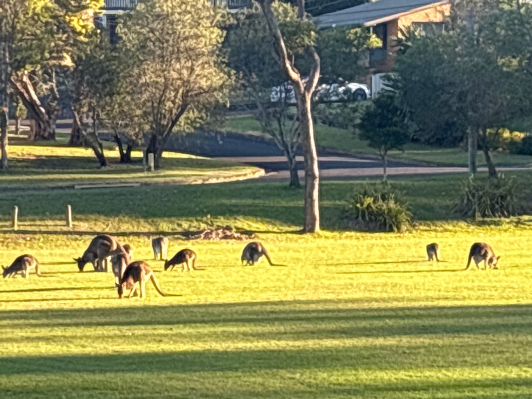 walking near me in Yulunga Reserve in autumn