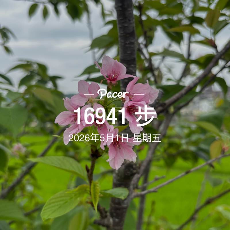 采青 post 1