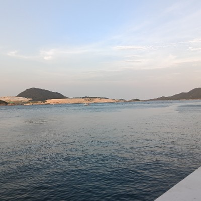 中興林場 Willy post image