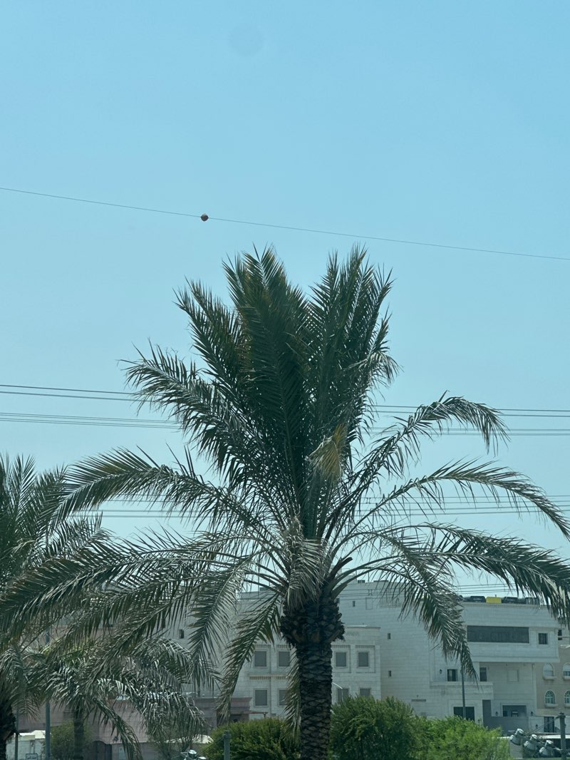 walking near me in Avenues Gardens in autumn