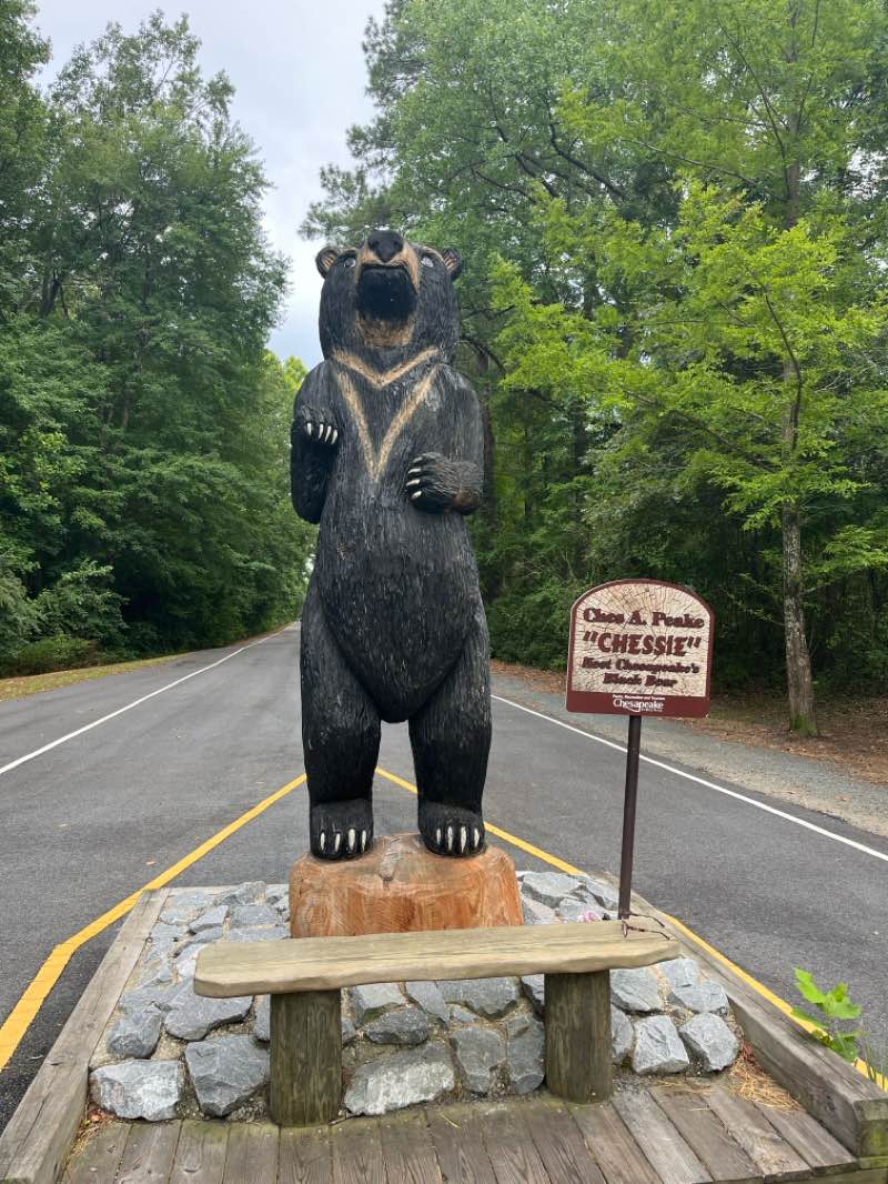 walking near me in Dismal Swamp Canal Trail Park in autumn