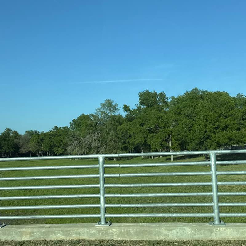 Srini 🇮🇳🇮🇳 post 1