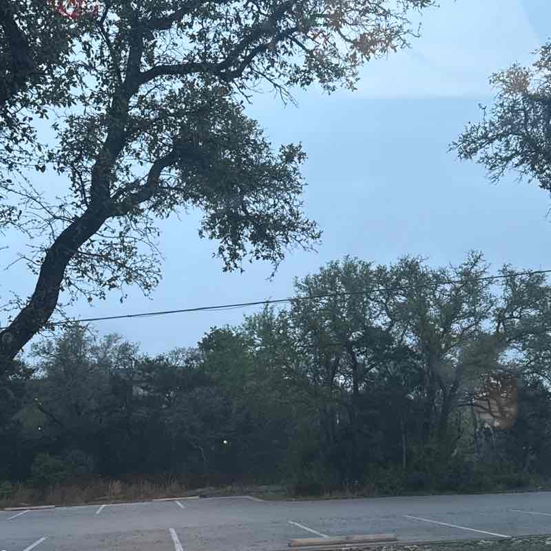 Srini 🇮🇳🇮🇳 post 1