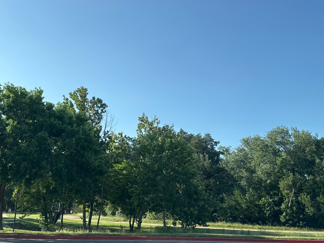 walking near me in Twin Lakes Park in summer