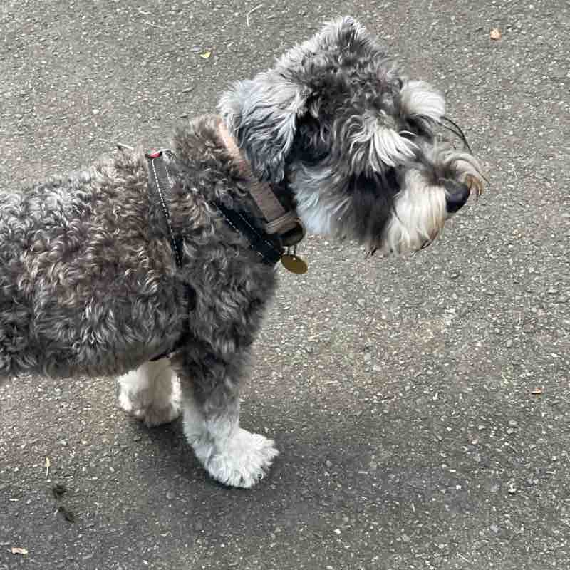 Catriona Burgess post 3