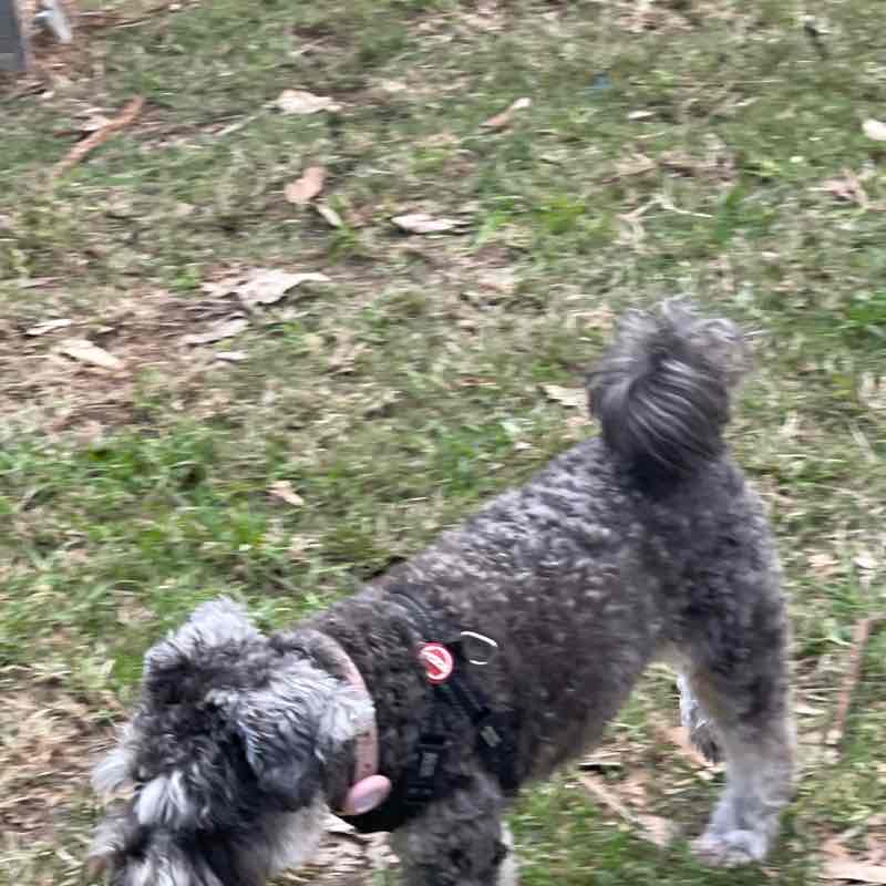 Catriona Burgess post 2