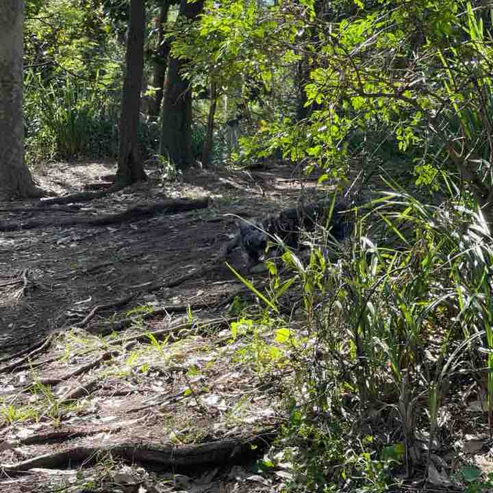 Catriona Burgess post 2