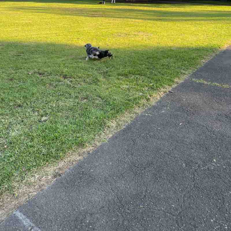 Catriona Burgess post 3