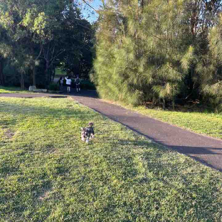 Catriona Burgess post 3