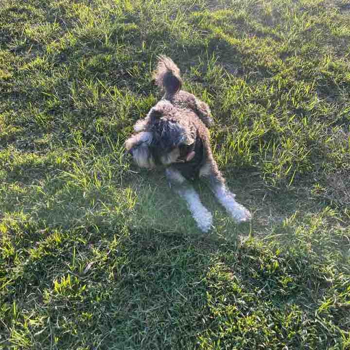 Catriona Burgess post 1