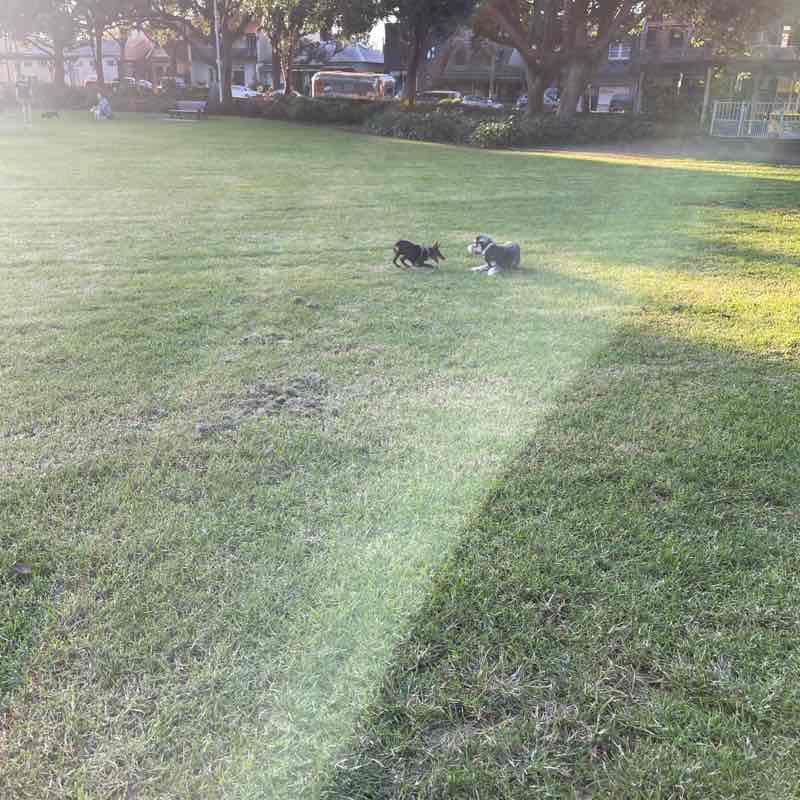 Catriona Burgess post 2