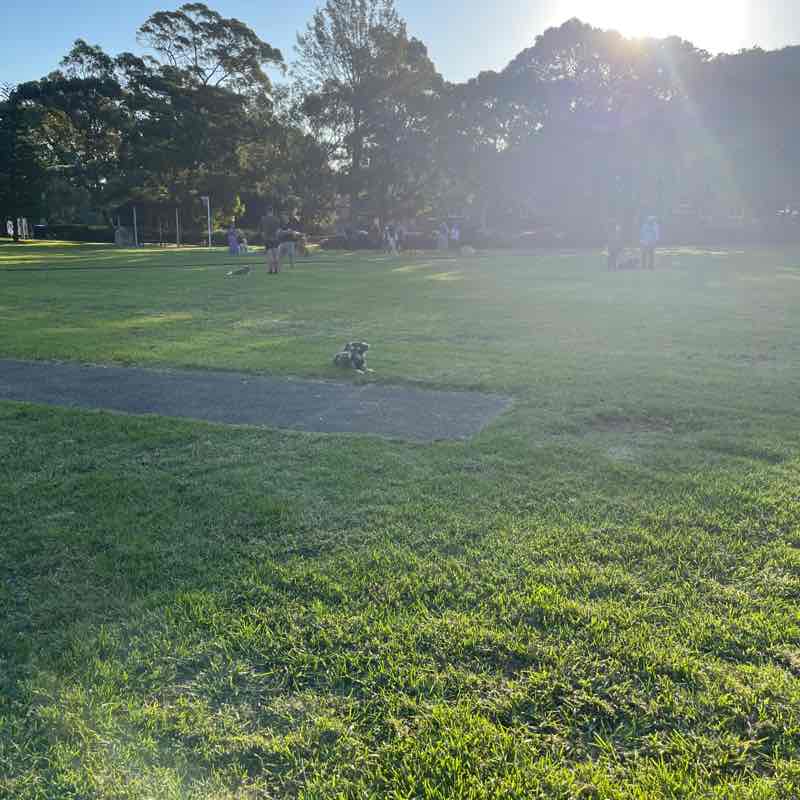 Catriona Burgess post 1