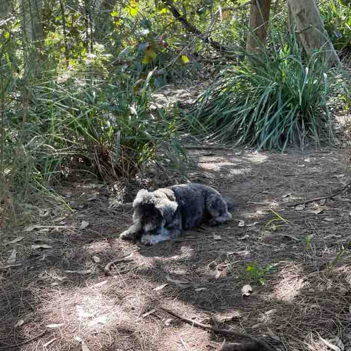 Catriona Burgess post 3