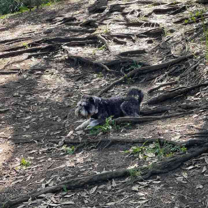 Catriona Burgess post 1