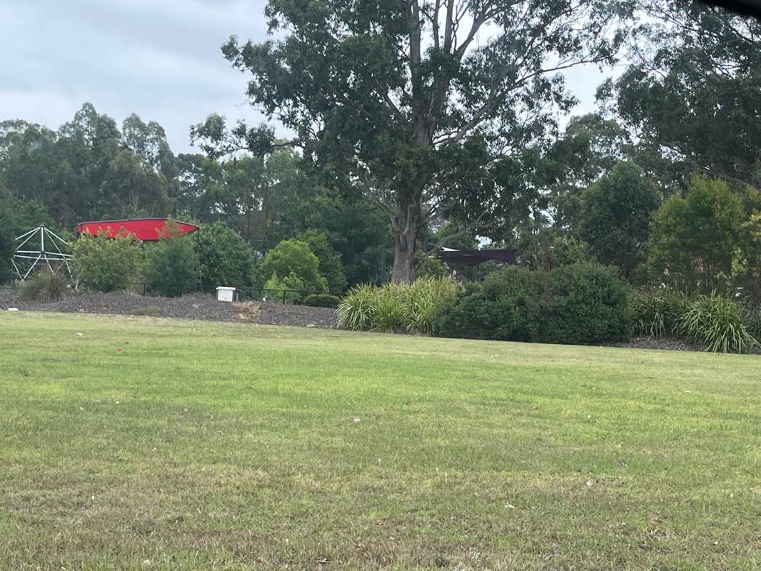 walking near me in Livvi's Place in spring