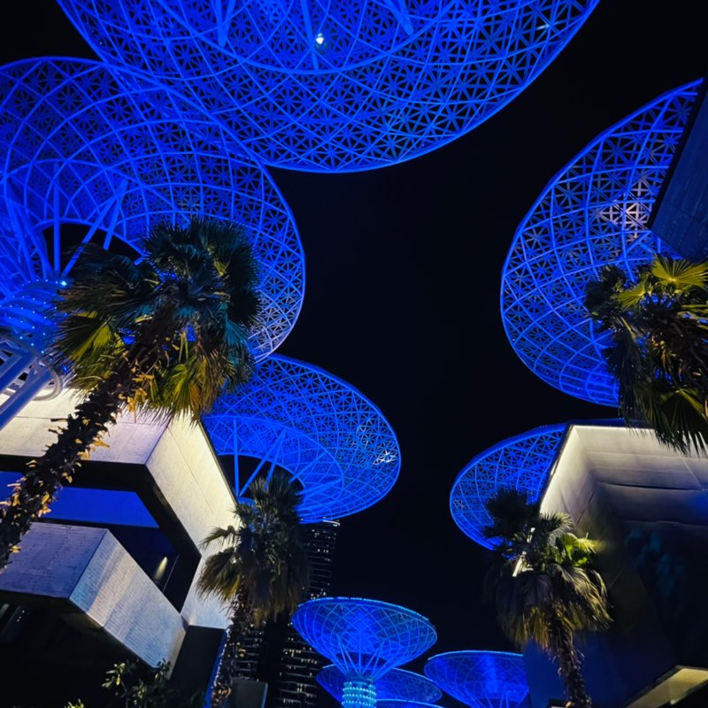 vidyasatheesh13 icon