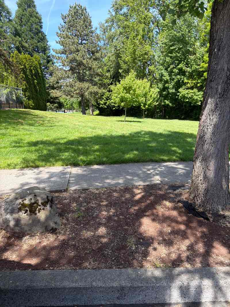 walking near me in Butler Creek Park in spring