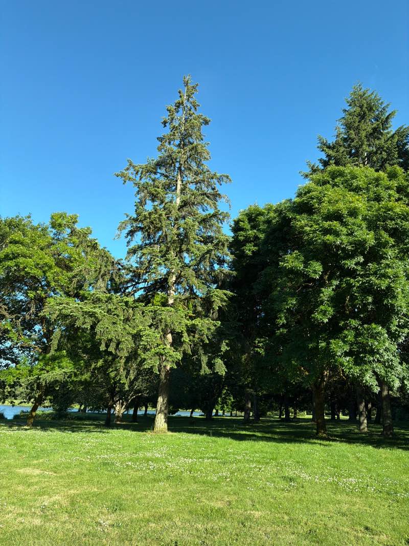walking near me in Trojan Park in summer