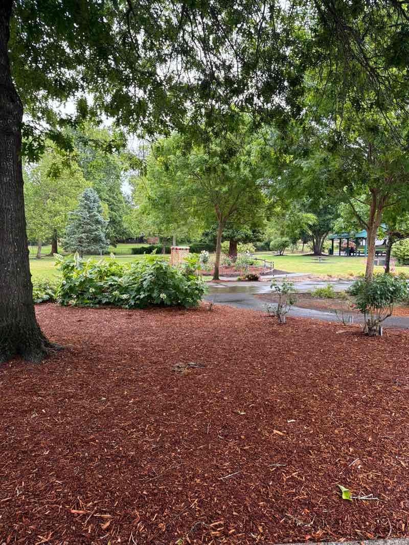 walking near me in Main City Park in summer