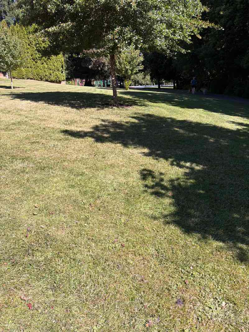 walking near me in Butler Creek Park in summer