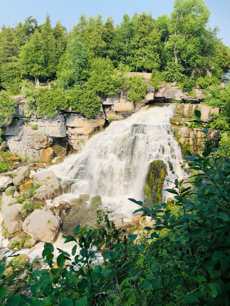 walking near me in Victoria Park in winter