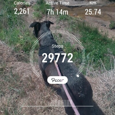 ❤🐕‍🦺Michelle🐕‍🦺❤ post 1