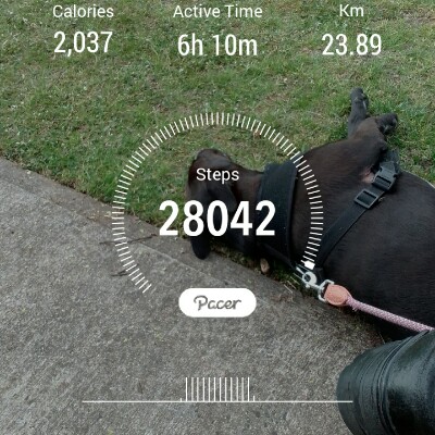 ❤🐕‍🦺Michelle🐕‍🦺❤ post 1