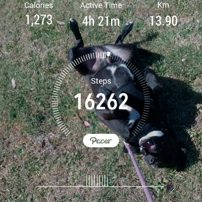 ❤🐕‍🦺Michelle🐕‍🦺❤ post 1