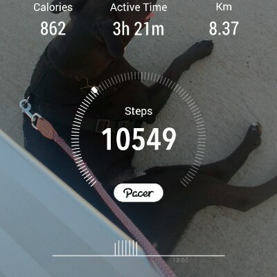 ❤🐕‍🦺Michelle🐕‍🦺❤ post 1