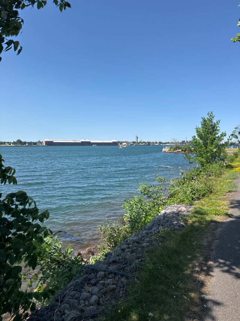 walking near me in Elsie Savoie Sculpture Park in summer