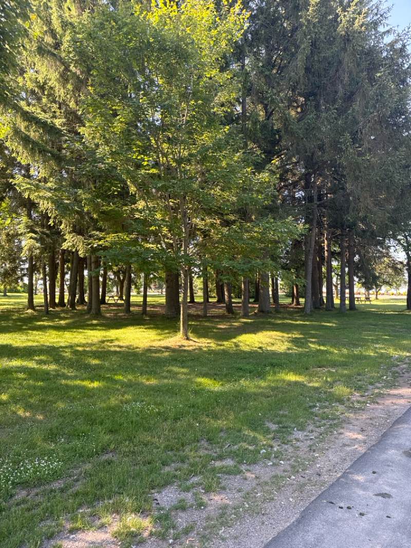 walking near me in Bellevue Park in summer