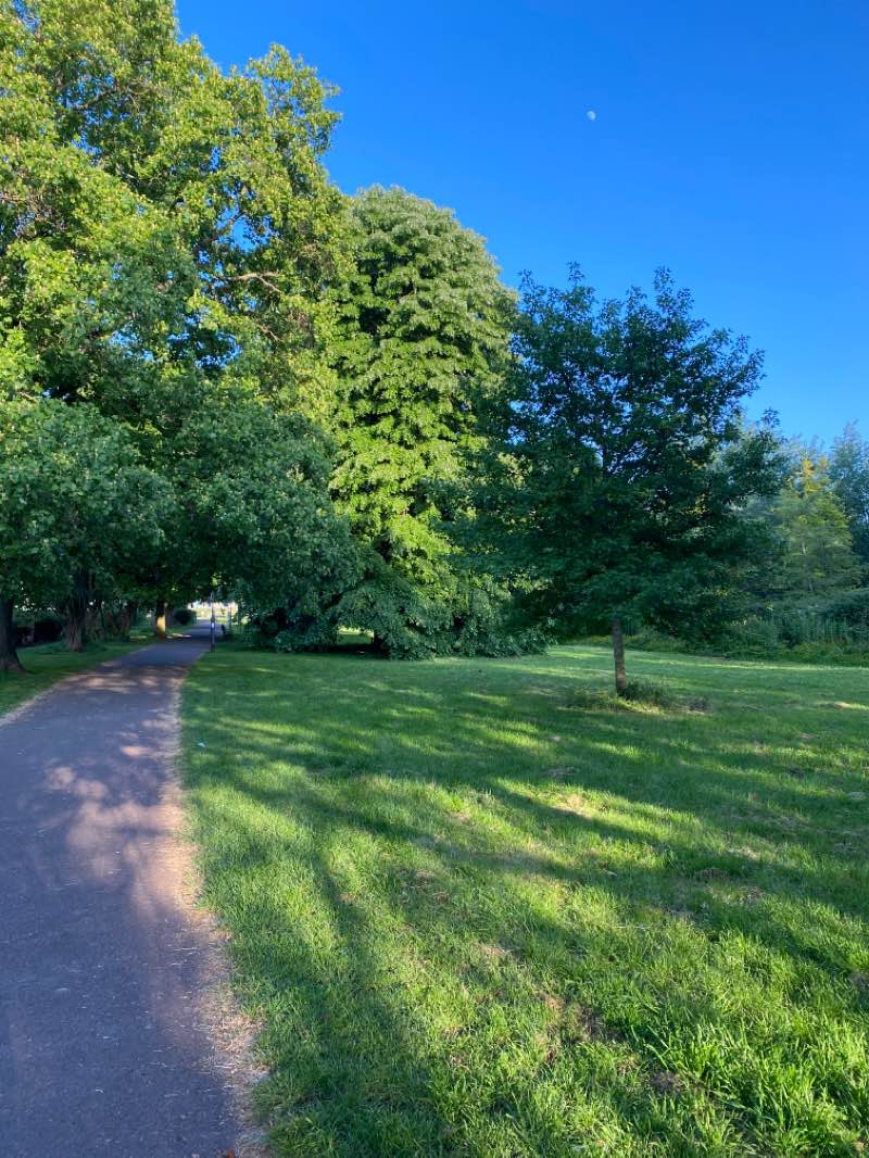 walking near me in Paignton Green (South) in winter