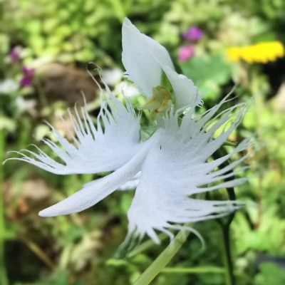 🍀きゃむぱす🍀 post 2