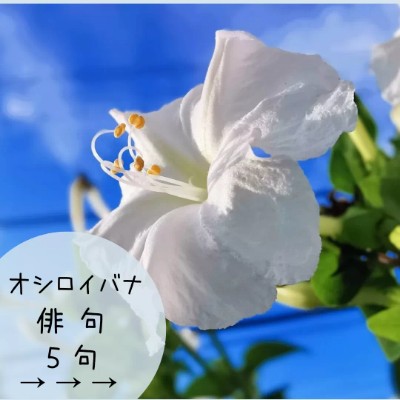 🍀きゃむぱす🍀 post 1