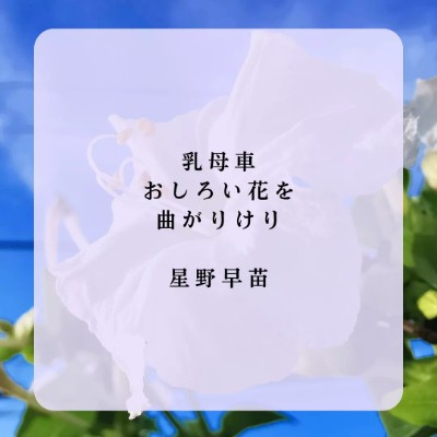 🍀きゃむぱす🍀 post 3