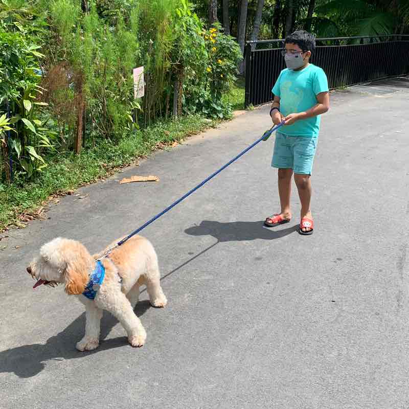 P3 Faith & Care - Heesha n Heesan post 2