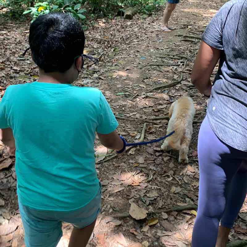 P3 Faith & Care - Heesha n Heesan post 3