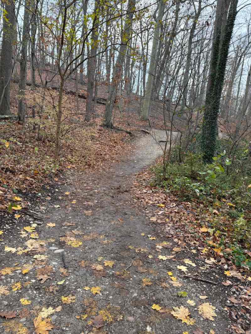 walking near me in Cold Spring Harbor State Park in autumn