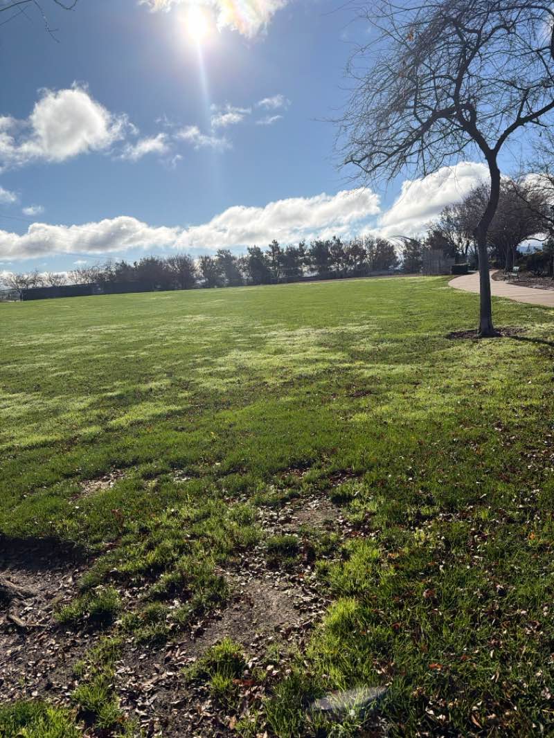 walking near me in Monarch Park in winter
