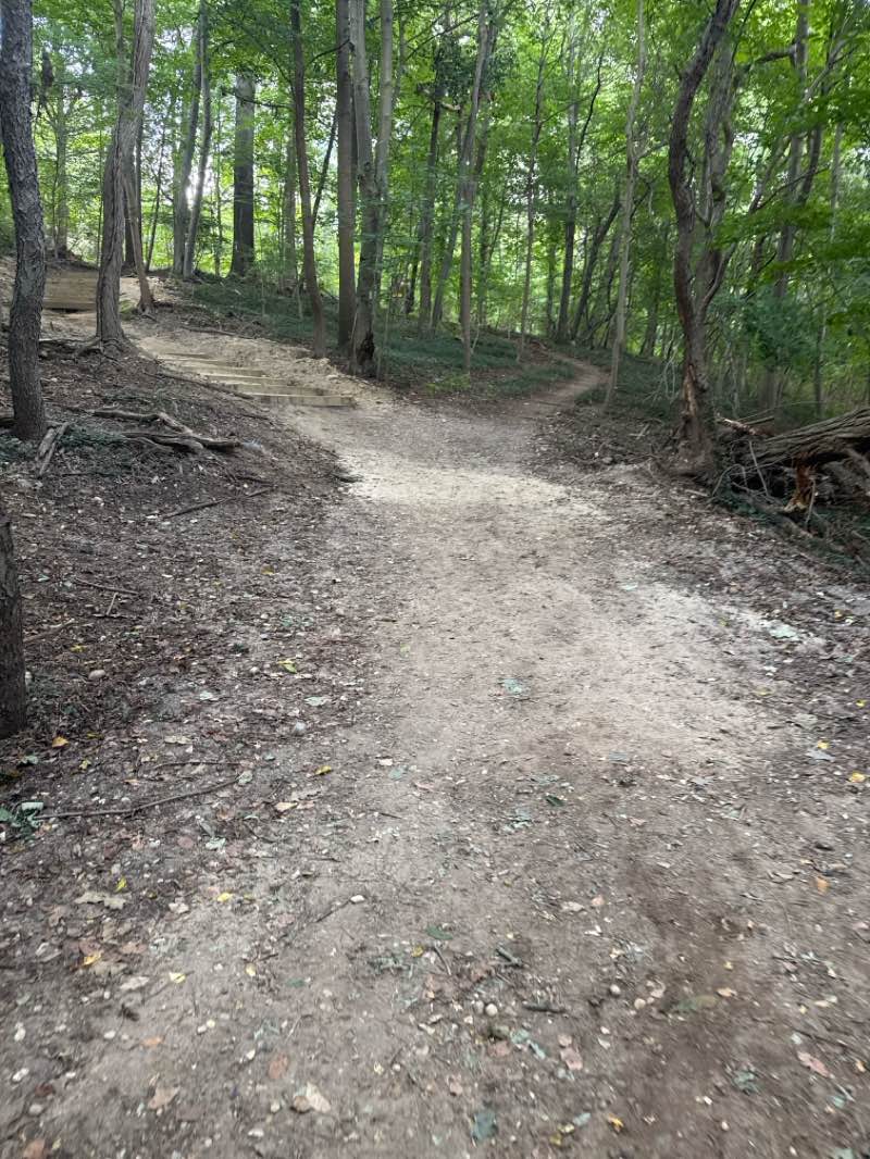 walking near me in Cold Spring Harbor Park in autumn