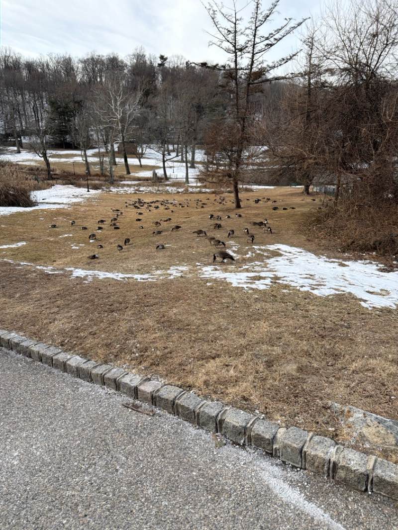 walking near me in Gerry Park in winter