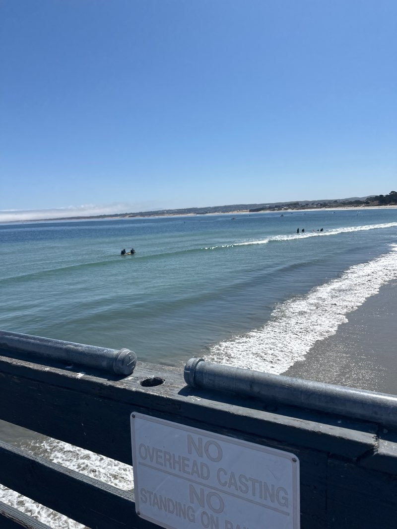 walking near me in Roberts Lake Park in summer